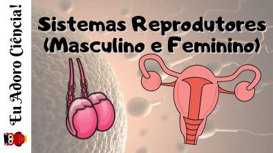 Sistemas Reprodutores Masculino e Feminino
