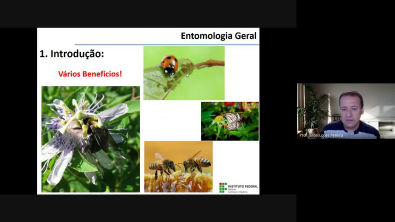 Entomologia Geral Aula 01 Introdução a Entomologia Geral