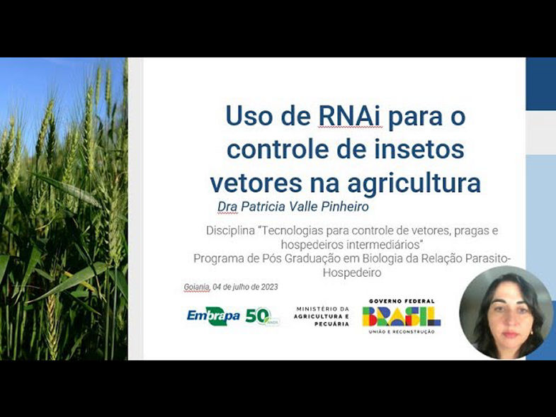 Aula "Uso de RNAi para o controle de insetos vetores na agricultura" da disciplina"