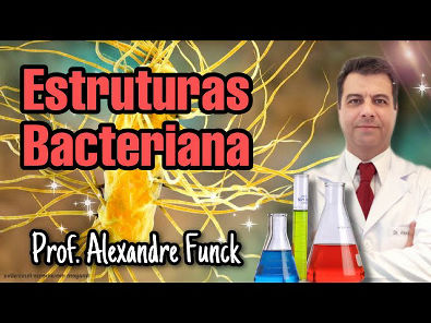 ESTRUTURAS DA CÉLULA BACTERIANA - PROF ALEXANDRE FUNCK (VÍDEO ATUALIZADO)