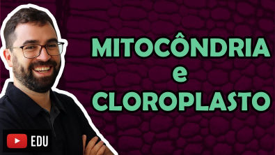 Mitocôndria e Cloroplasto - Aula 23 - Módulo I Biologia Celular | Prof Gui