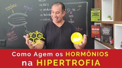 Como agem os Hormônios na Hipertrofia