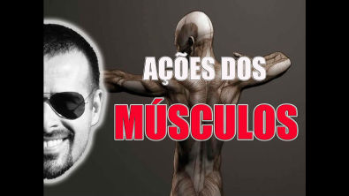 Sistema Muscular Ação dos músculos (macete fácil de aprender) - Anatomia Humana - VideoAula 023