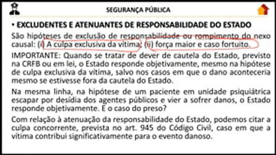 SEGURANÇA PÚBLICA - Responsabilidade Civil 02