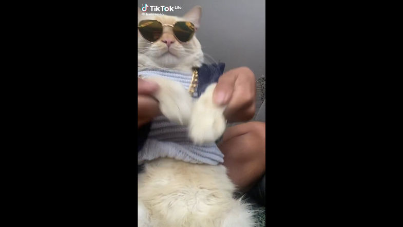 f90a9babd0497f098786ac6ed30b9414