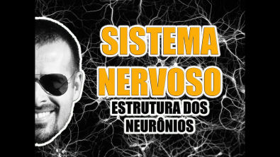 Vídeo Aula 008 - Sistema Nervoso - Anatomia Humana - Estrutura dos neurônios e sinapse
