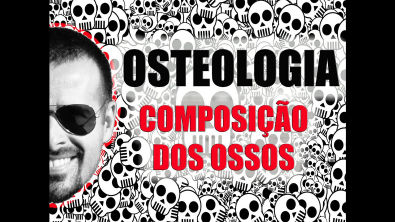 Vídeo Aula 005 - Osteologia - Sistema Ósseo (esquelético): Do que são feitos os ossos?
