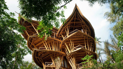 Bambu na construção de casas