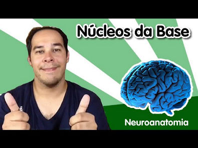 [Neuroanatomia] 8 - Núcleos da Base