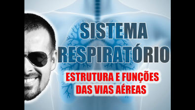Vídeo Aula 018 - Sistema Respiratório - Anatomia Humana - Estrutura e funções gerais das vias aéreas