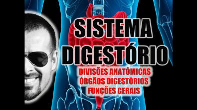 Vídeo Aula 024 - Sistema Digestório - Anatomia Humana - Divisões anatômicas e órgãos digestivos