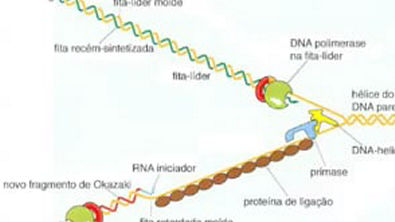 AULA 3 FILME DNA - REPLICAÇÃO