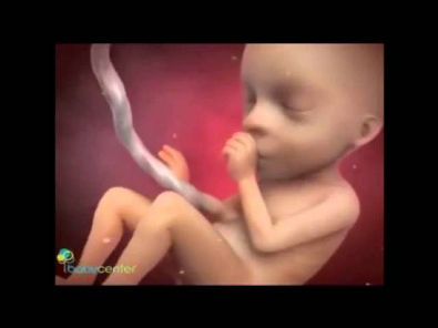 Reprodução Humana: Gravidez, Desenvolvimento Fetal e Parto