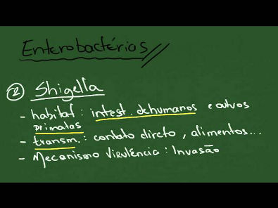 Enterobactérias 1: Shigella, Salmonella, Yersinia - Resumo - Microbiologia