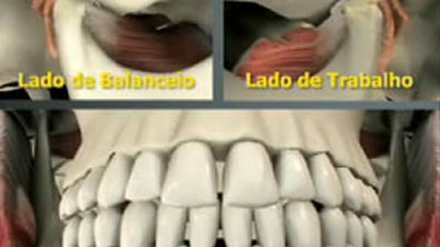 LATERALIDADE - Anatomia aplicada 3d - Articulação temporomandibular