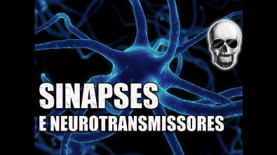 Vídeo Aula 086 - Sistema Nervoso - Animação: Neurônios, sinapse, contração muscular e movimento