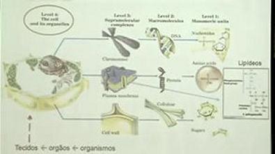 Introdução à Bioquímica   Aula 10   Parte 3   Células e Compartimentalização em Sistemas