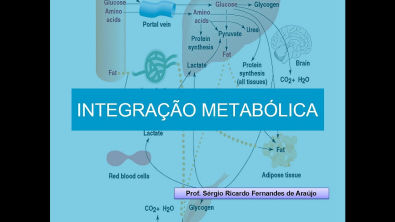 Curso de Bioquimica: Integração Metabólica