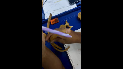 VID-20250603-WA0214