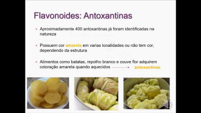 Pigmentos naturais antioxidantes nos alimentos: Flavonoides e Betalainas