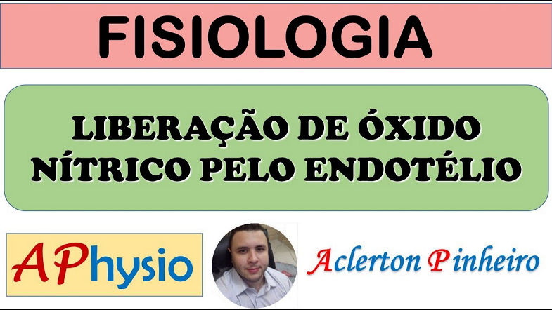 Liberação de Óxido Nítrico (NO) pelo Endotélio