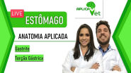 Live Aplicada 09 Anatomia Aplicada Do Estômago Gastrite E Torção