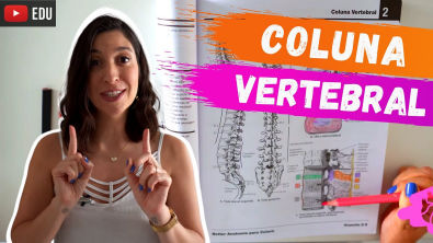 COLUNA VERTEBRAL Anatomia para colorir!