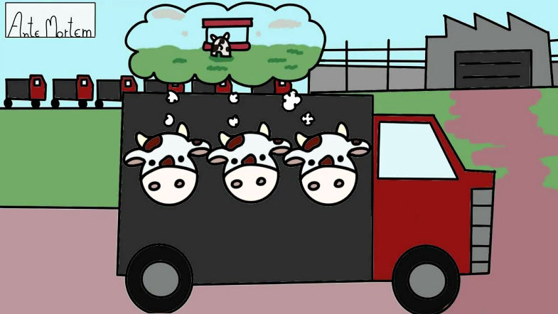 Como ocorre a transformação de músculo em carne? - Projeto Interdisciplinar