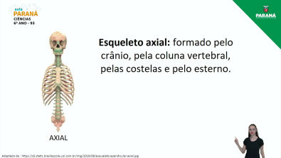 2021 | Resumo da Aula | 6 Ano | Ciências | Aula 93 - Sistema Esquelético Características e Funções
