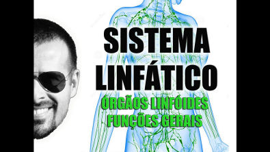 Vídeo Aula 029 - Sistema Linfático - Órgãos linfóides e as funções gerais do sistema linfático