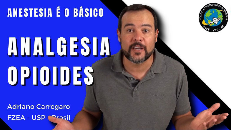 OPIOIDES | Anestesia e o Basico 9
