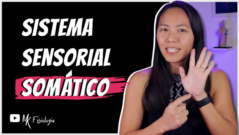 SISTEMA SENSORIAL SOMÁTICO (SOMATOSSENSORIAL) TATO E TEMPERATURA | MK Fisiologia