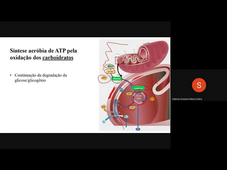 FIS EX I. Aula - Metabolismo oxidativo dos carboidratos