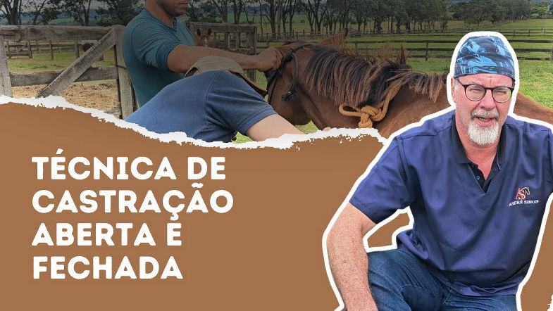 Castração Aberta ou Fechada? | Dr André Simon