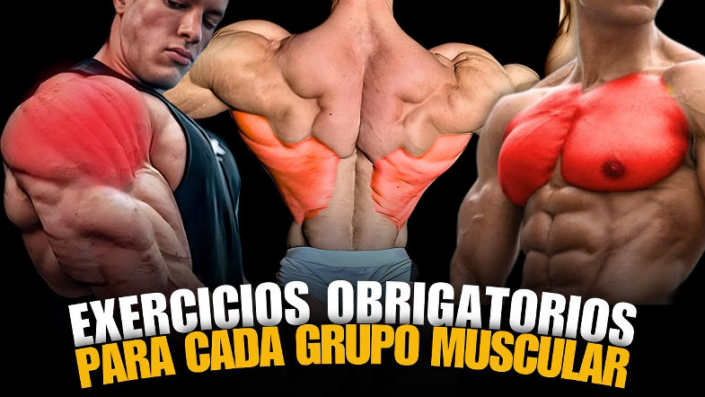 Os 2 ÚNICOS EXERCICIOS que VOCE PRECISA para cada GRUPO MUSCULAR!