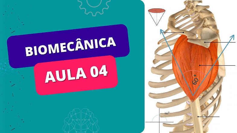MINI CURSO DE BIOMECÂNICA - Aula 04 - MÚSCULO ESQUELÉTICO