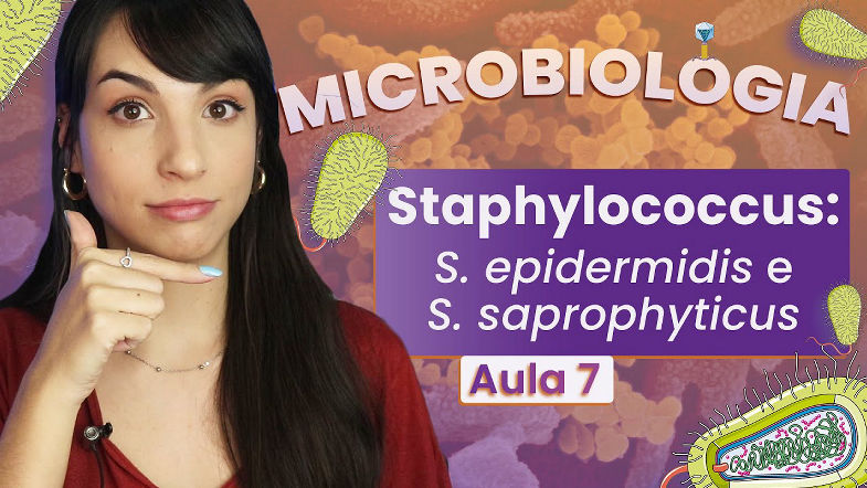 STAPHYLOCOCCUS S. epidermidis e S.saprophyticus | Videoaula | Microbiologia | Flavonoide 7