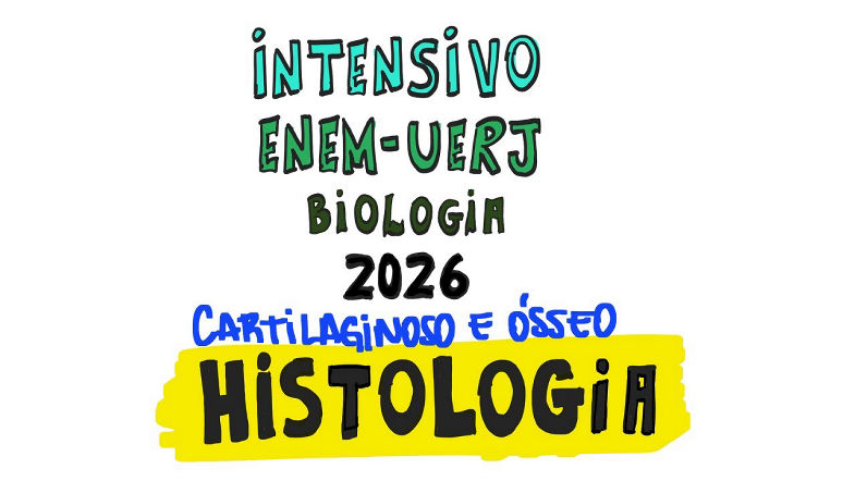 Aula 31 - Histologia (Cartilaginoso e ósseo)
