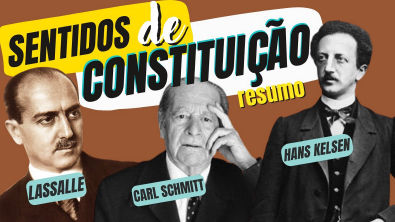 SENTIDOS DE CONSTITUIÇÃO | RESUMO (Direito Constitucional - Concurso Público)