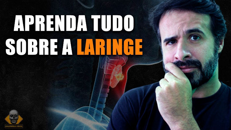 APRENDA TUDO SOBRE A LARINGE DE MANEIRA FÁCIL E DESCOMPLICADA!