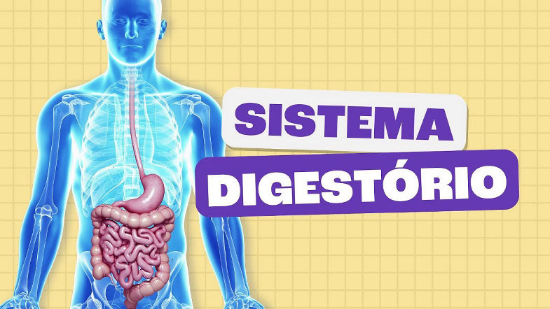 Sistema Digestório - Toda Matéria