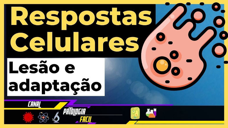 Diferença entre lesão celular e adaptação celular Respostas ao estresse [Atualizado]