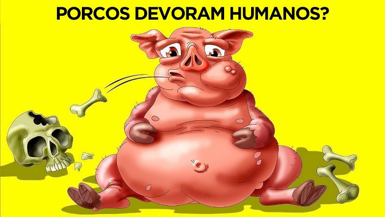 Show De Fatos - Edição Animal