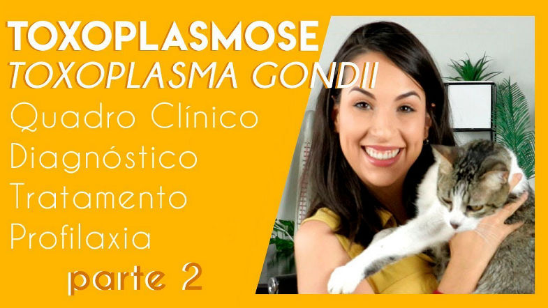 Toxoplasmose toxoplasma gondii | Parte 2 | PARASITOLOGIA 4