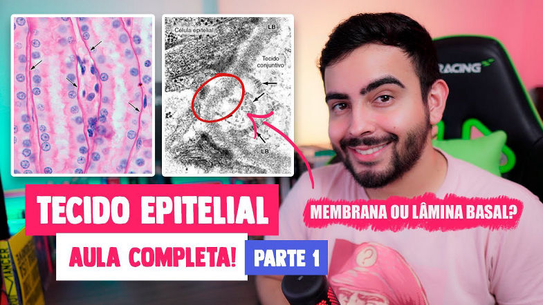 Histologia - Tecido Epitelial Estroma e Parênquima, Lâmina Basal (Capítulo 4 - PARTE 1) JUNQUEIRA