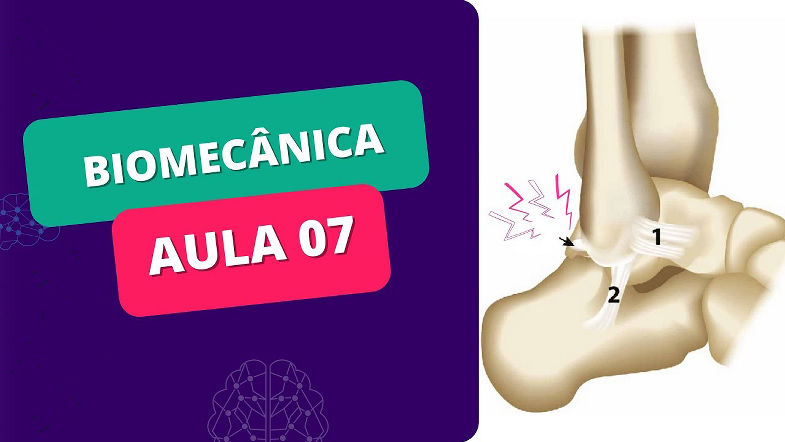 MINI CURSO DE BIOMECÂNICA - Aula 07 - ARTICULAÇÕES (cartilagens e ligamentos)