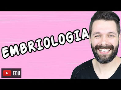 EMBRIOLOGIA - DESENVOLVIMENTO EMBRIONÁRIO | Biologia com Samuel Cunha