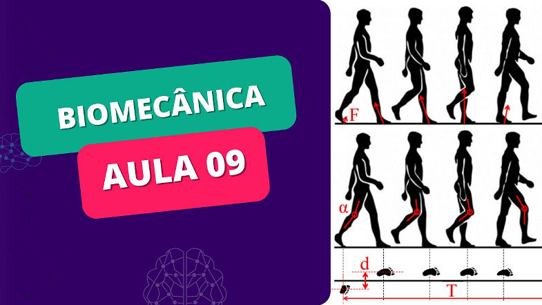 MINI CURSO DE BIOMECÂNICA - Aula 09 - MARCHA (parte 2)