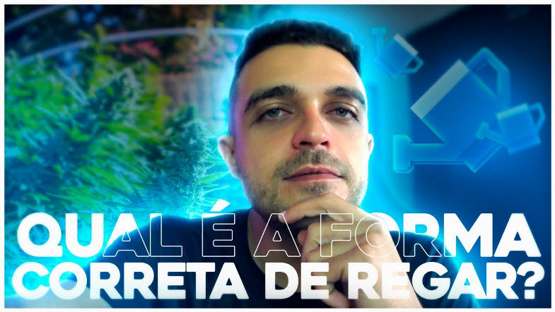 Qual é a forma correta de regar as plantas?