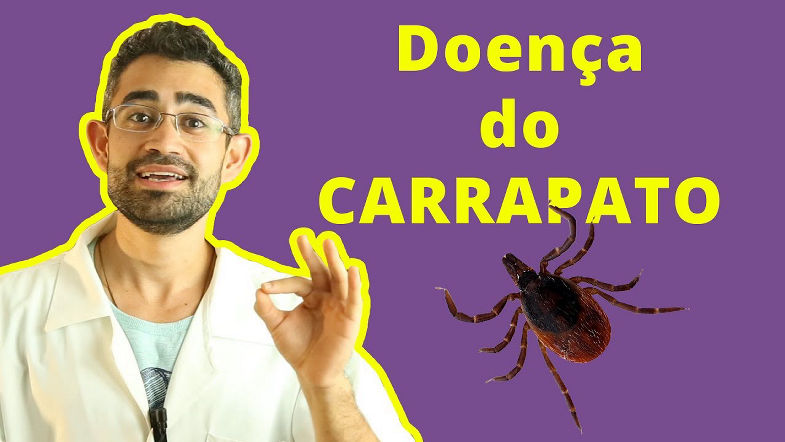 Erliquiose | Dica Veterinária 16